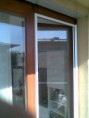 /album/szunyoghalo-galeria/a20110421-003-jpg/